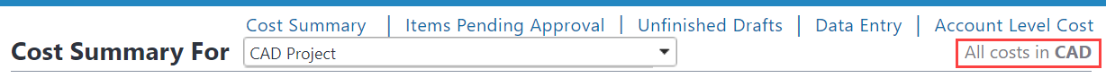 Cost summary for project with selected currency