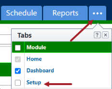 Accessing the Setup tab in e-Builder