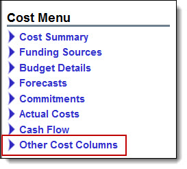 Cost Menu - Other Cost Columns