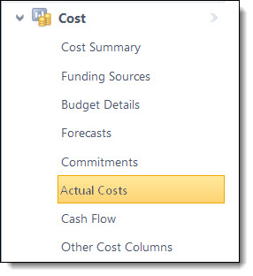 Cost Menu - Actual Costs